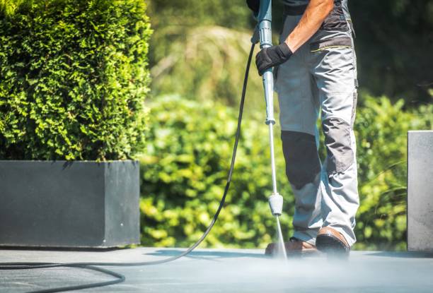 Best Animal Enclosure Cleaning  in Winnie, TX