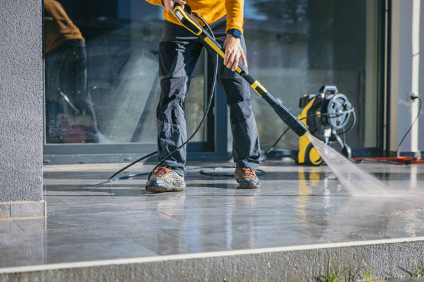 Best Solar Panel Cleaning  in Winnie, TX